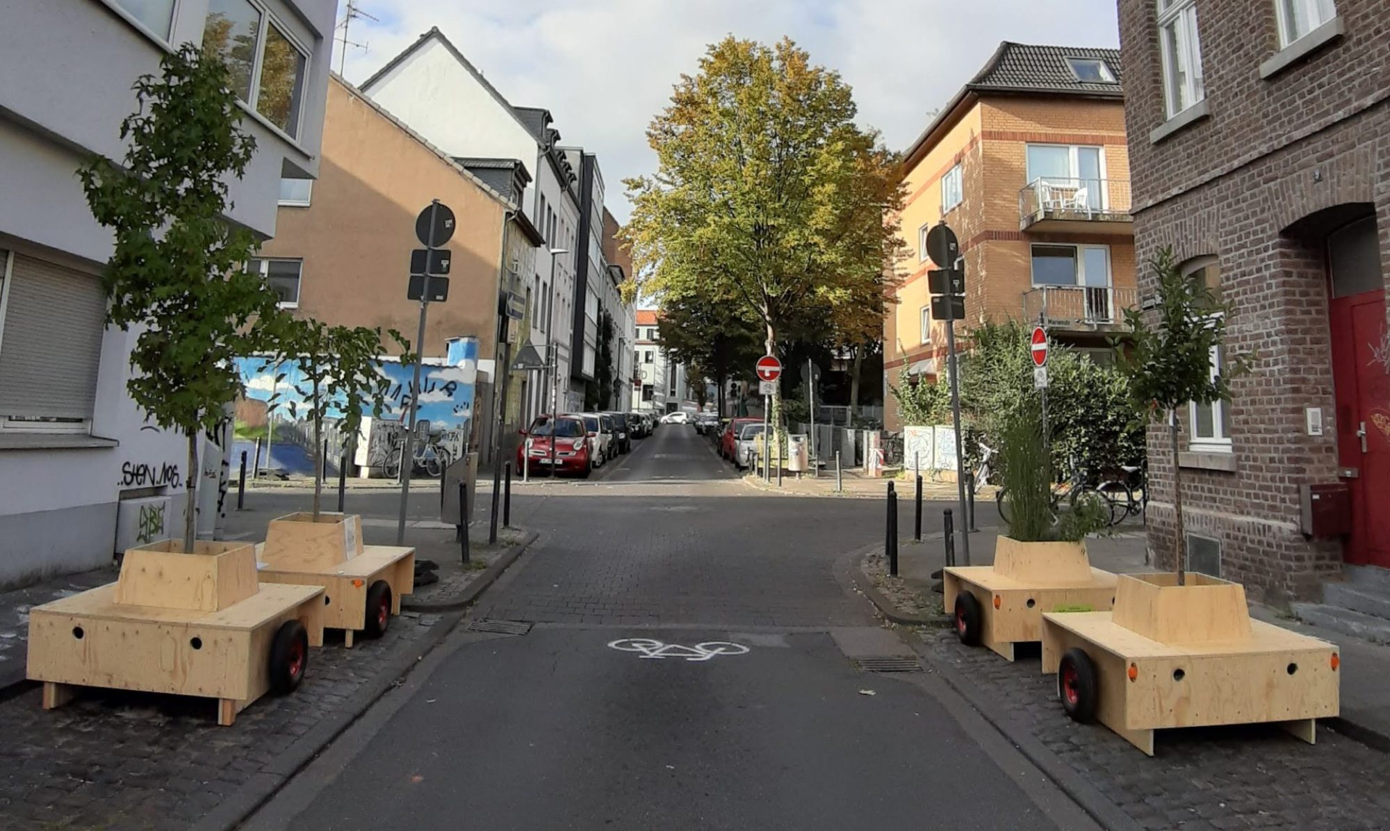 Die Wanderbaumallee in der Lessingstraße in Köln Ehrenfeld